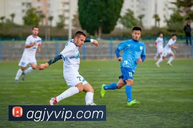 多媒体互动体验